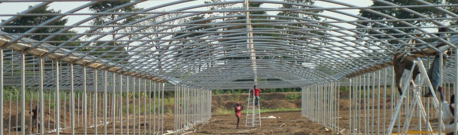 Agrifor Serre - Serre ad arco con copertura in film di polietilene